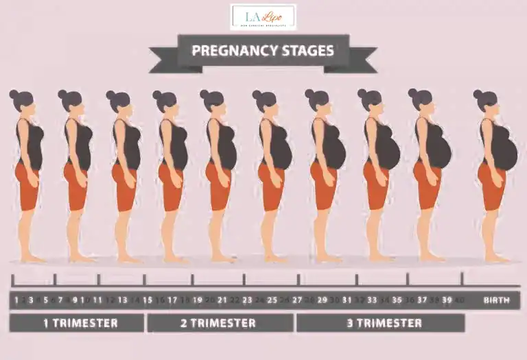 First Trimester (Weeks 1–12): Early Changes You Might Not Notice Bury St Edmunds